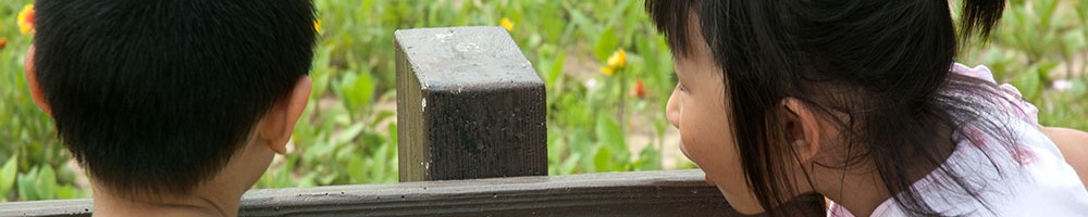 北京微茂科技有限公司